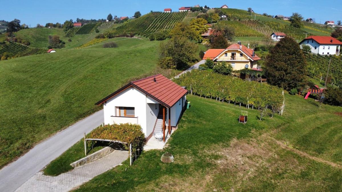 Holiday House Zlacka Gorca Pristava pri Mestinju Zewnętrze zdjęcie