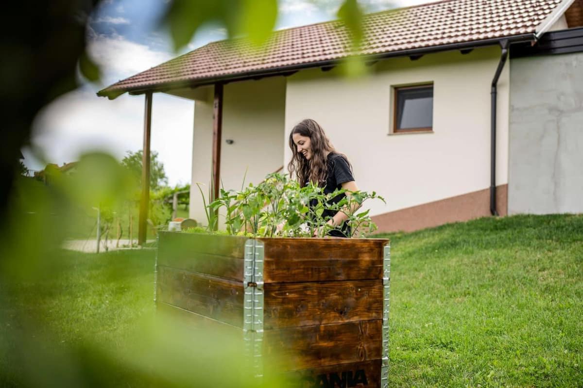 Holiday House Zlacka Gorca Pristava pri Mestinju Zewnętrze zdjęcie